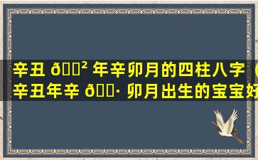 辛丑 🌲 年辛卯月的四柱八字（辛丑年辛 🌷 卯月出生的宝宝好不好）